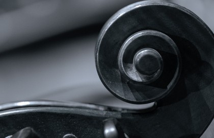 Созвездие молодых