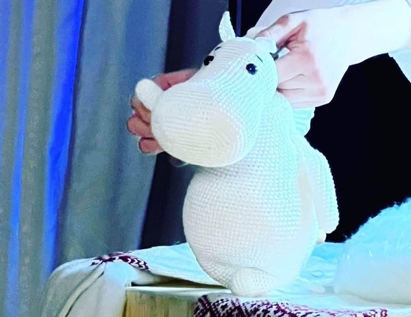 Театрализованное представление «Чудеса в Муми-доле»