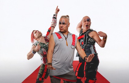 Группа «Скворцы Степанова»