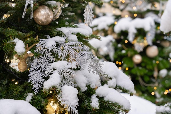 Концерт «Свежей и светлой прохладой веет в лицо мне февраль»