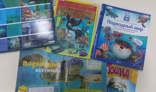 Урок доброты «Медленно, но верно»