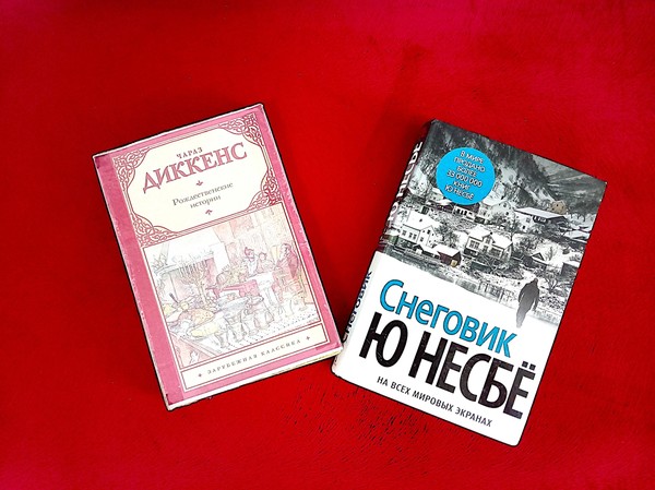 Выставка-настроение зимней прозы «Снежный серпантин»