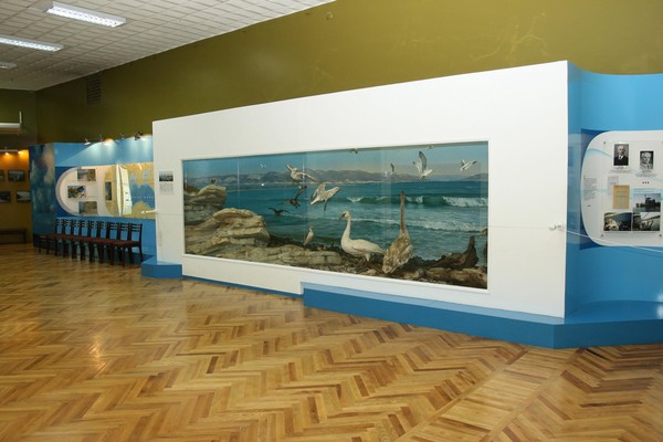 Выставки «Природа Новороссийского района. Охрана окружающей среды» и «Старый Новороссийск»