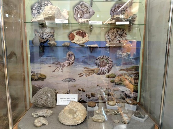 Выставка «Обитатели Сарматского моря»