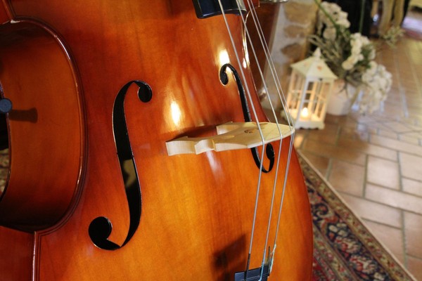 Концерт-открытие «Душа контрабаса»