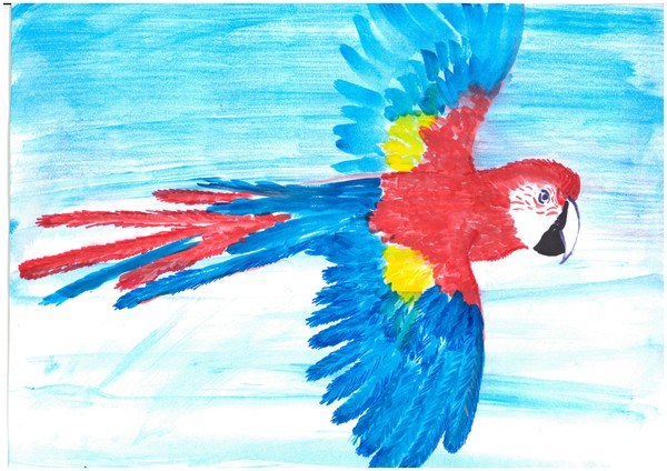 Рисуем животных