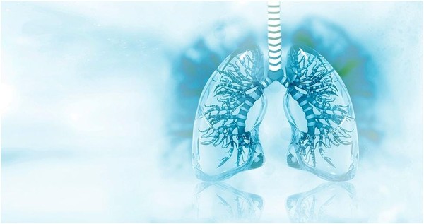 Интерактивная программа «Легкие дышат кислородом, а не дымом!»