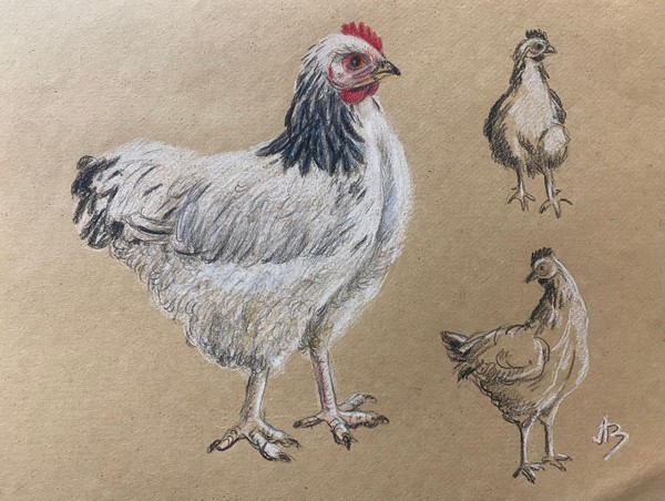 Виртуальная выставка работ «ЗооМир»