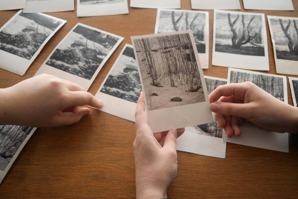 Встреча фотоклуба «ПРОсвет»