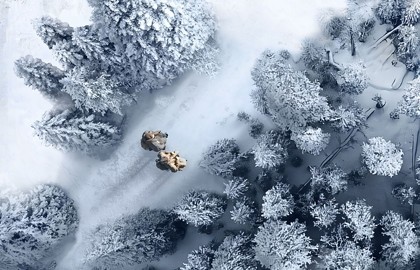 Облачный полк