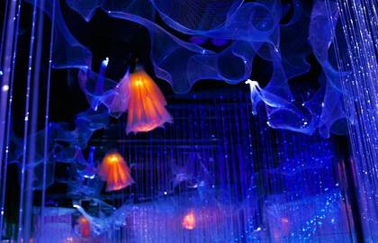 Арт-пространство «Эйфория»