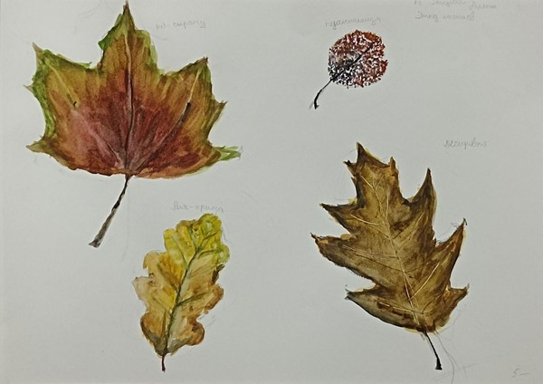 Виртуальная выставка «Осенние листья»