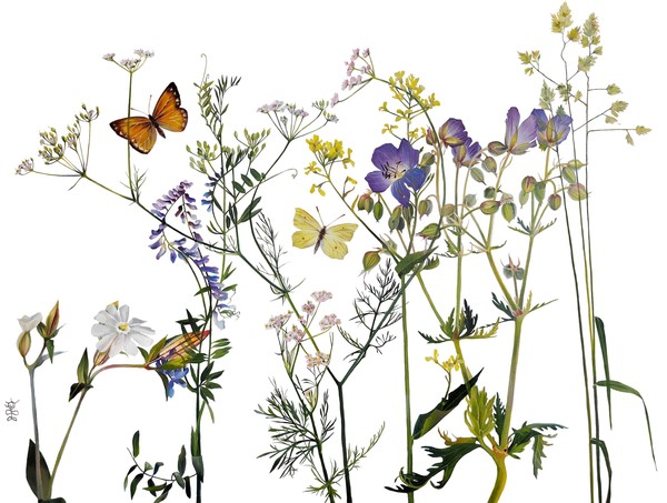 Выставка «Дыхание Русской земли»