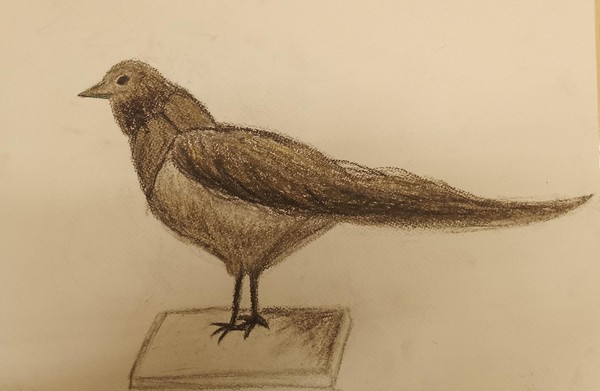 Выставка «Крылышки»