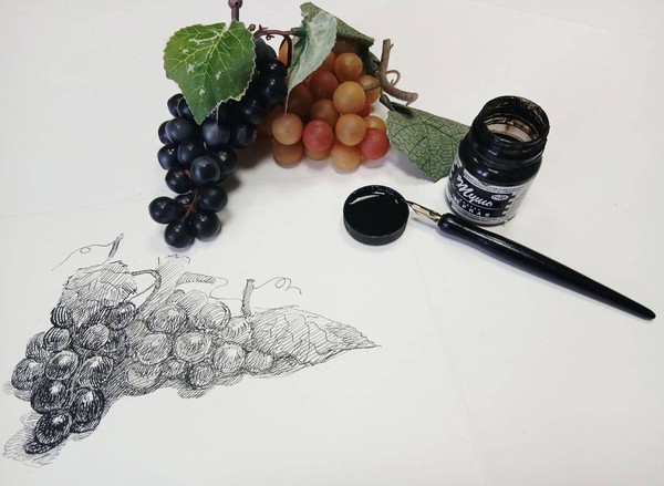 Мастер-класс «Рисунок винограда тушью и пером»