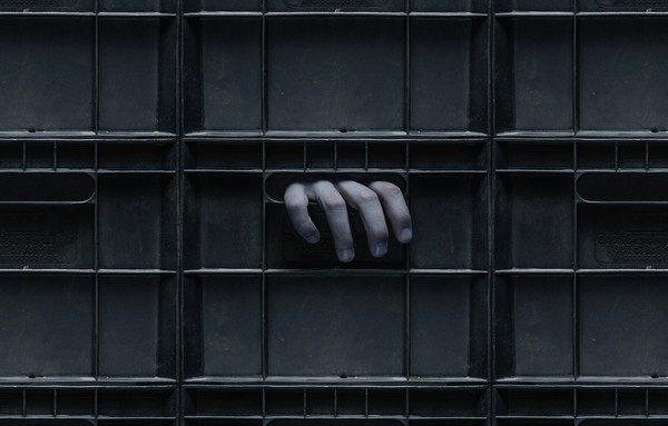 Опера нон-стоп: Маниозис. Книга Серафима