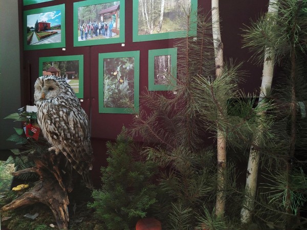 Выставка «На службе у природы»