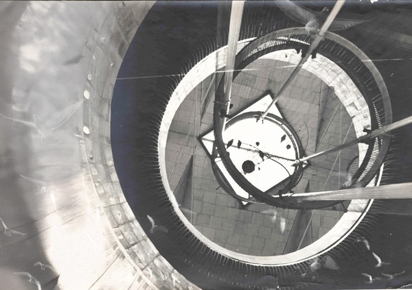 Аудиоспектакль-променад «Время птиц»