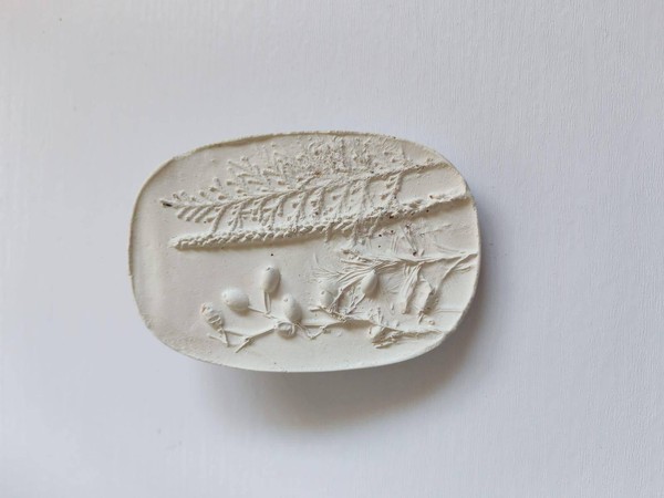 Мастер-класс «Природа России в гипсе»