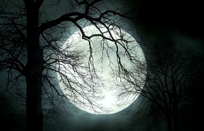 Поэтический шабаш