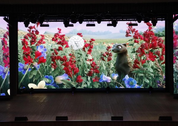 Кинопоказ, в рамках Международного фестиваля «Дни короткометражного кино»