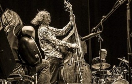 Волковтрио