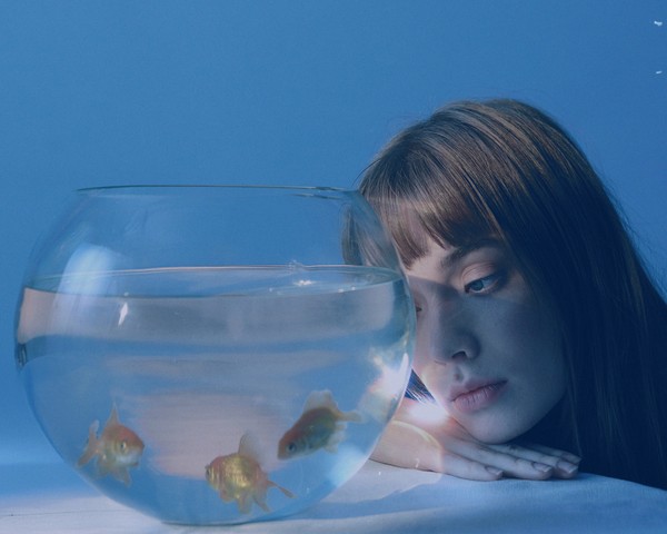 Внимание брусника