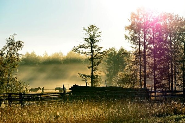 Творческая встреча «Сайылык»