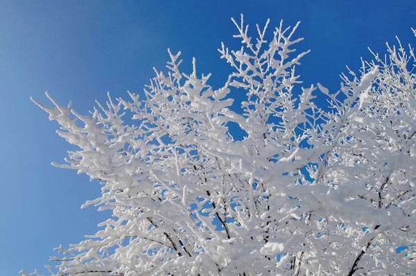 Программа «Ах, февраль»