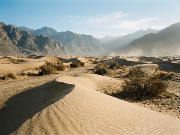 Информационный час «День памяти воинов-интернационалистов»