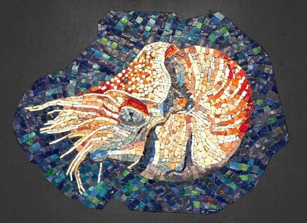 Выставка «Море и звезды»