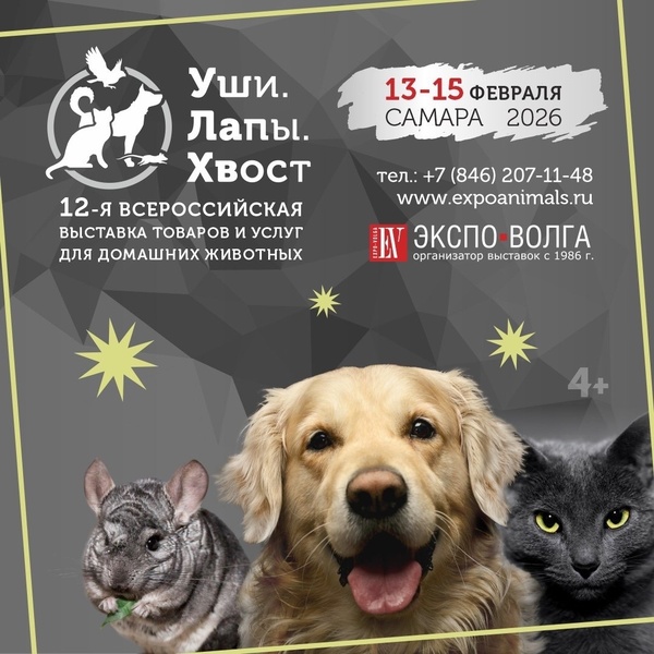 Выставка "УшиЛапыХвост"