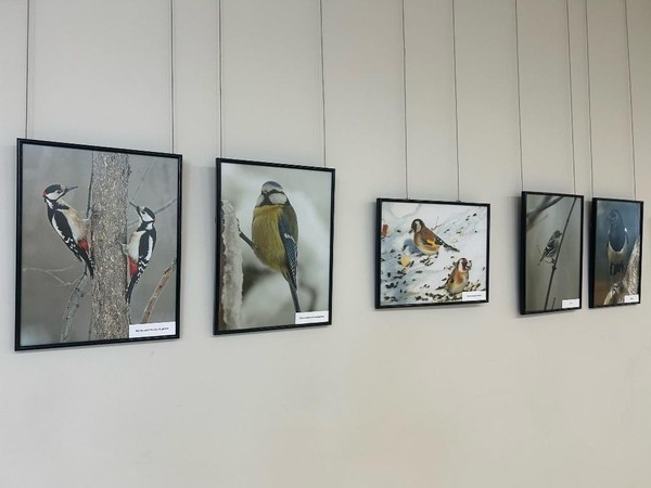 Фотовыставка «Морозный полёт»