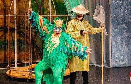 Попугайчик Пай