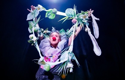 А рыбы спят?