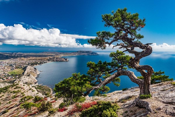 Выставка по итогам XVI открытого фотоконкурса им. В.А Собровина