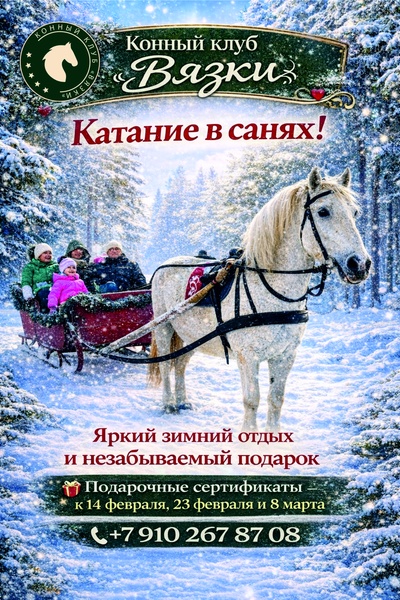 Конный клуб "Вязки" катание в санях