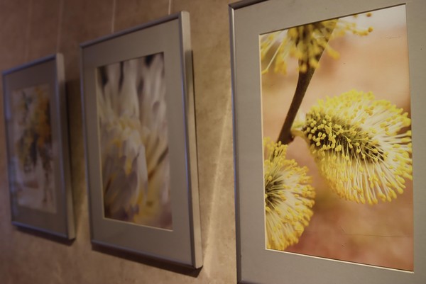 Выставка «Акварельная фотография»