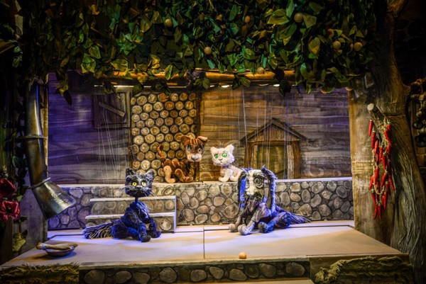 Котёнок по имени Гав