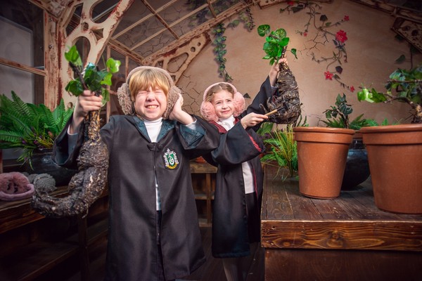 Музей Гарри Поттера. Комбо 5