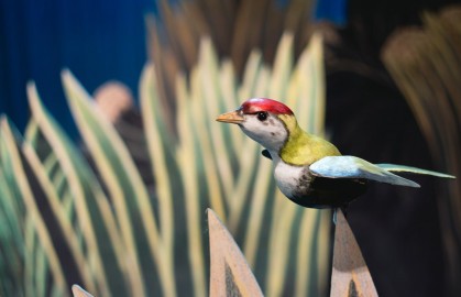 Рикки-Тикки-Тави