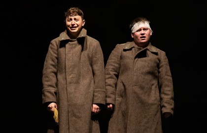 Бессмертники