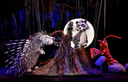 Крошка Енот