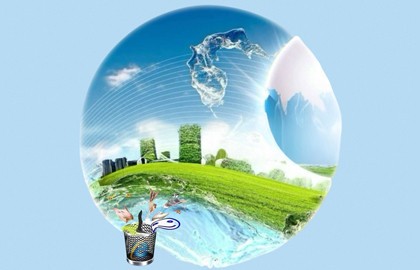 Рилсология