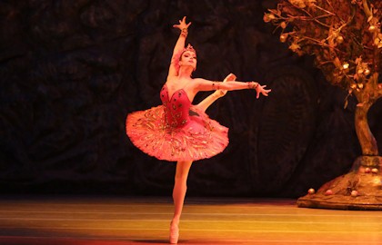 Жар-птица. Лебедь. Видение розы. Шехеразада