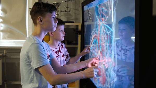 Программа «Свет мой, зеркальце…»