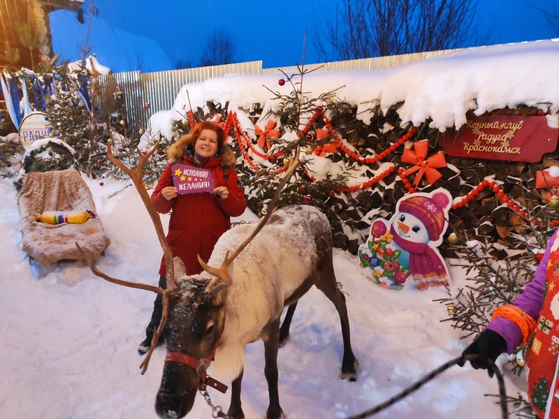 В гости к Северным оленям