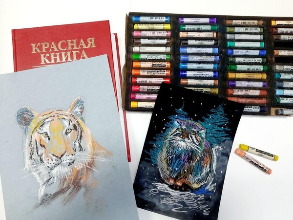 Мастер-класс «Редкие кошачьи красной книги»