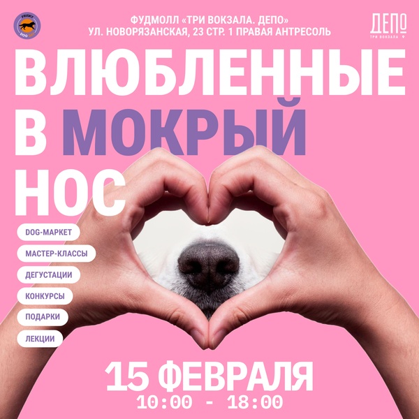 Праздник для четвероногих друзей от Frisky Dog Day