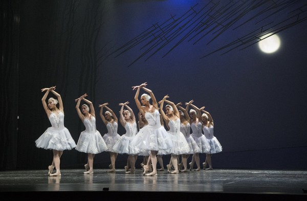 Лебединое озеро